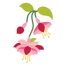 Spellbinders Dies - Magical Fuchsia